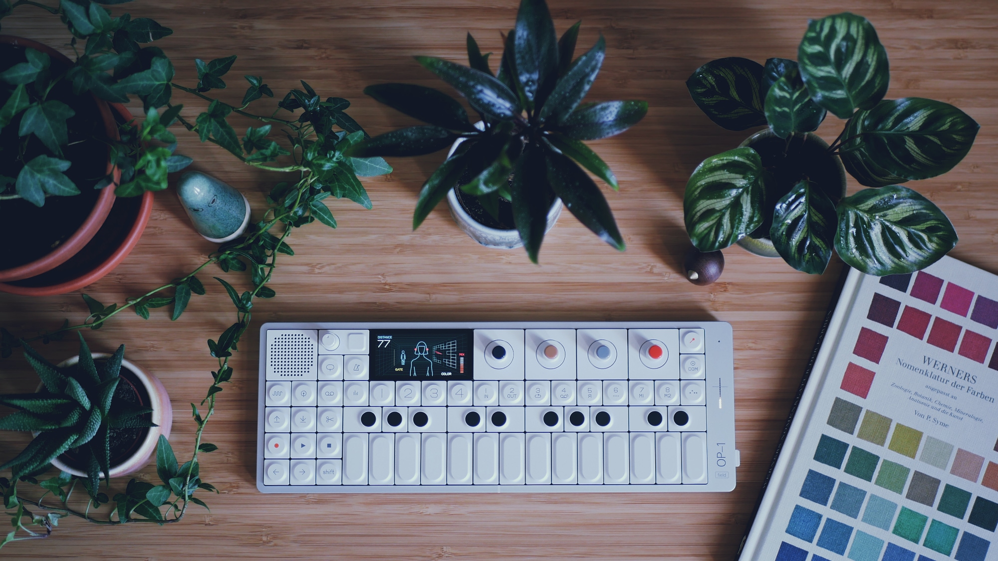 A photo with a synthesizer surrounded by plants.