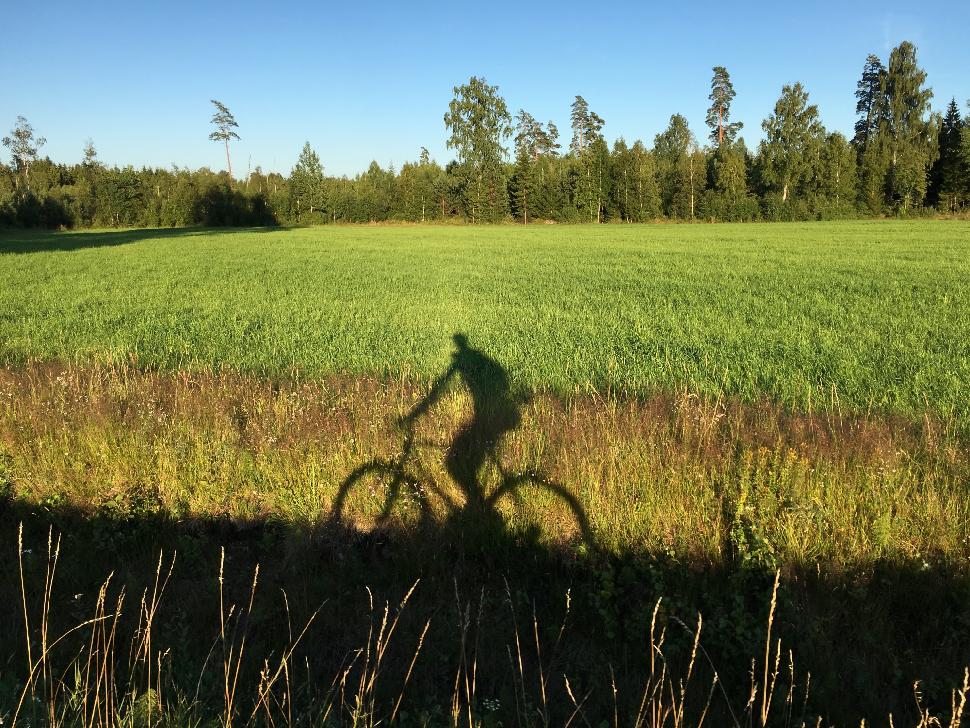 A photo taken in Småland.