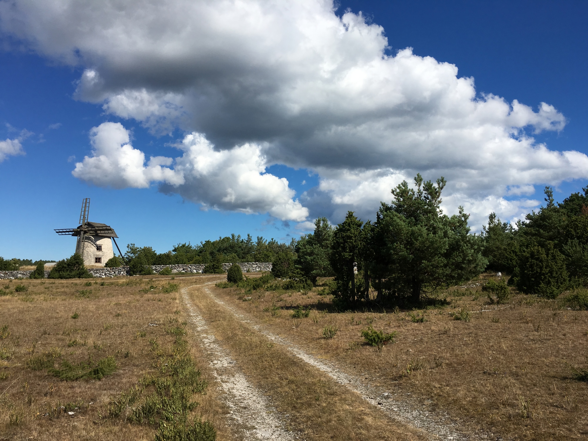 A photo taken on Fårö as part of Gotland.