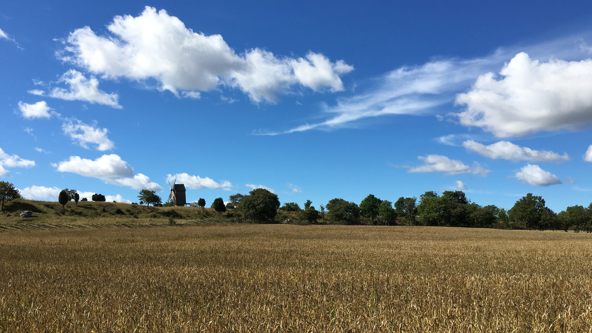 A photo taken at Lau on Gotland.