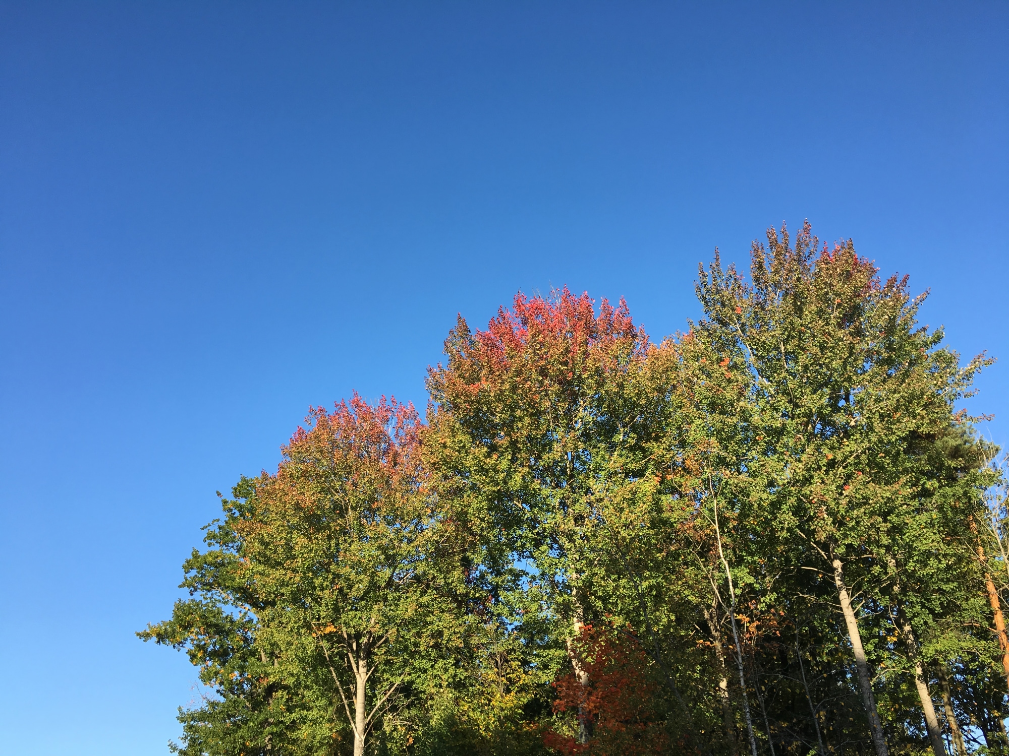 A photo taken in Växjö.