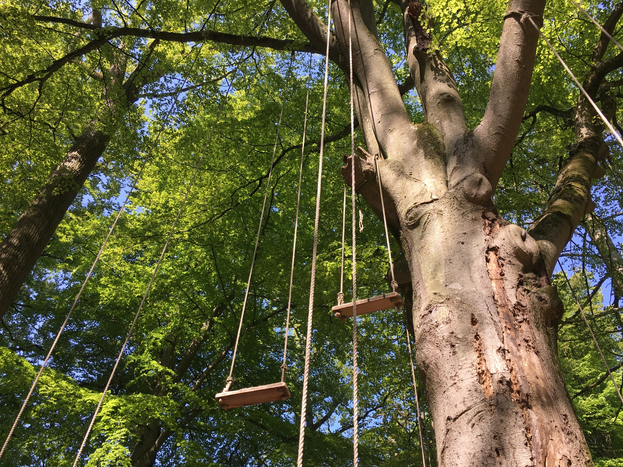 A photo taken at Wanås Konst in Wanås.