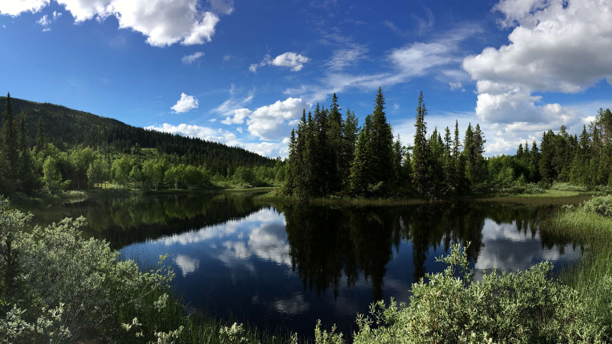 A photo taken in Funäsdalen.