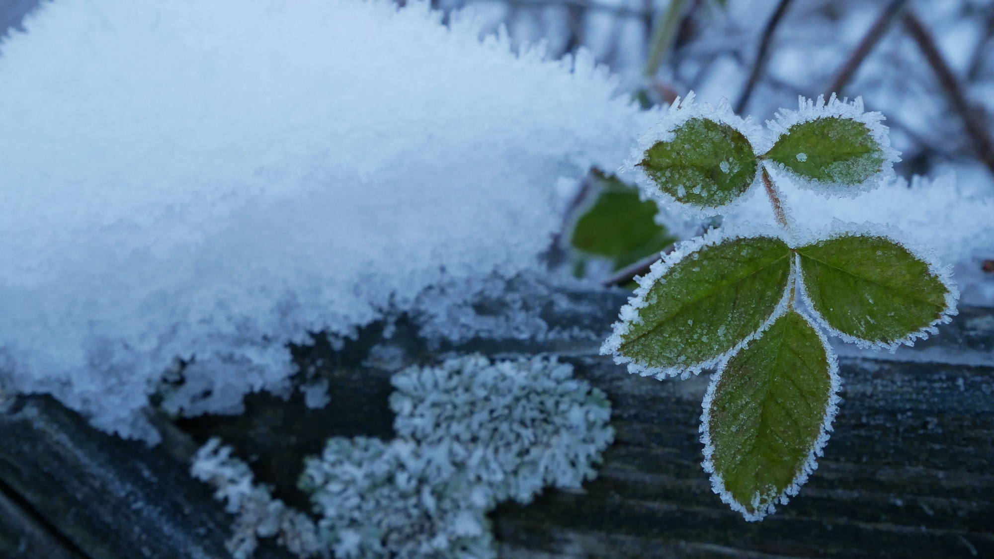 A photo taken in Falun.