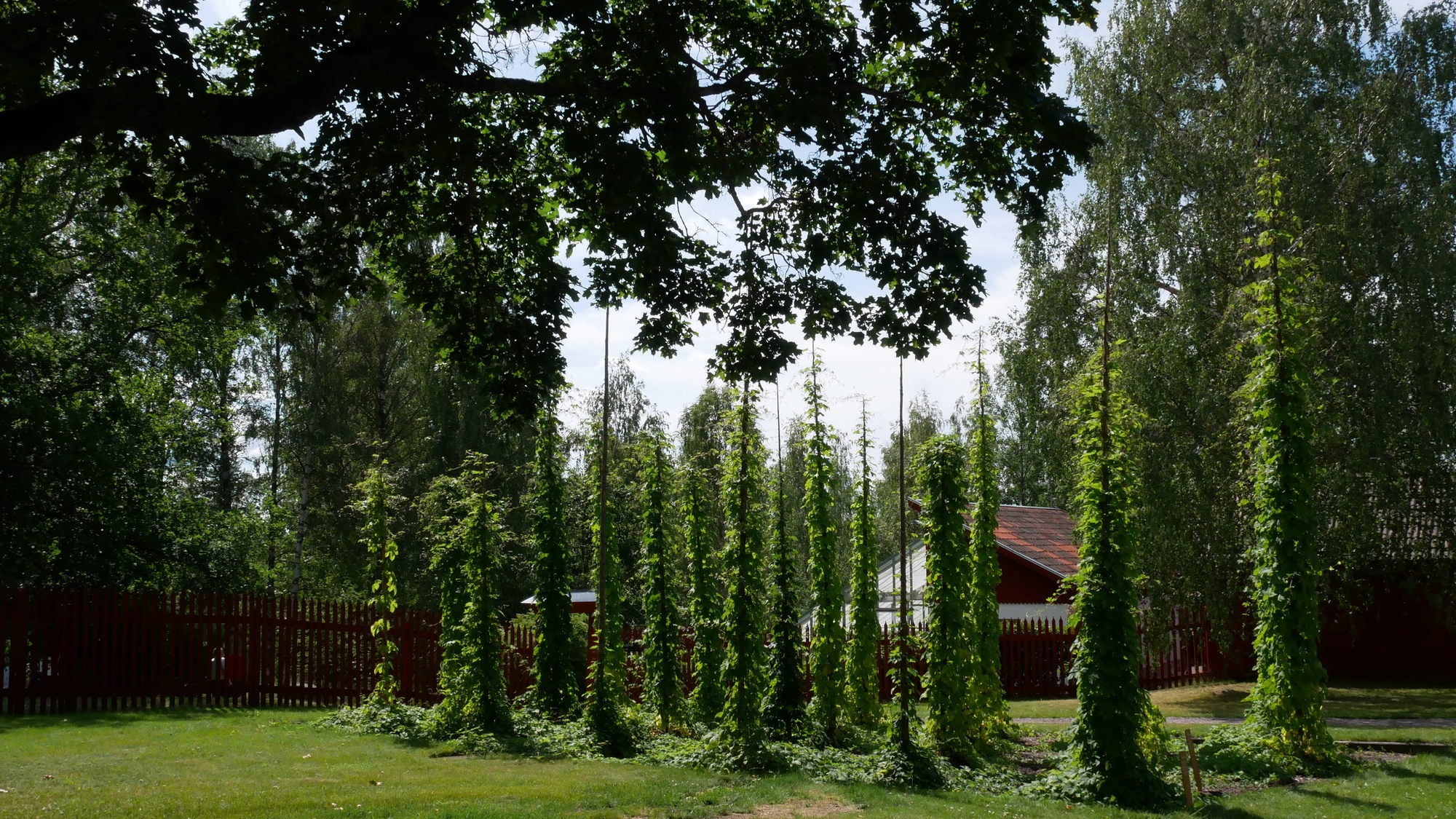 A photo taken at Gamla Staberg in Falun.