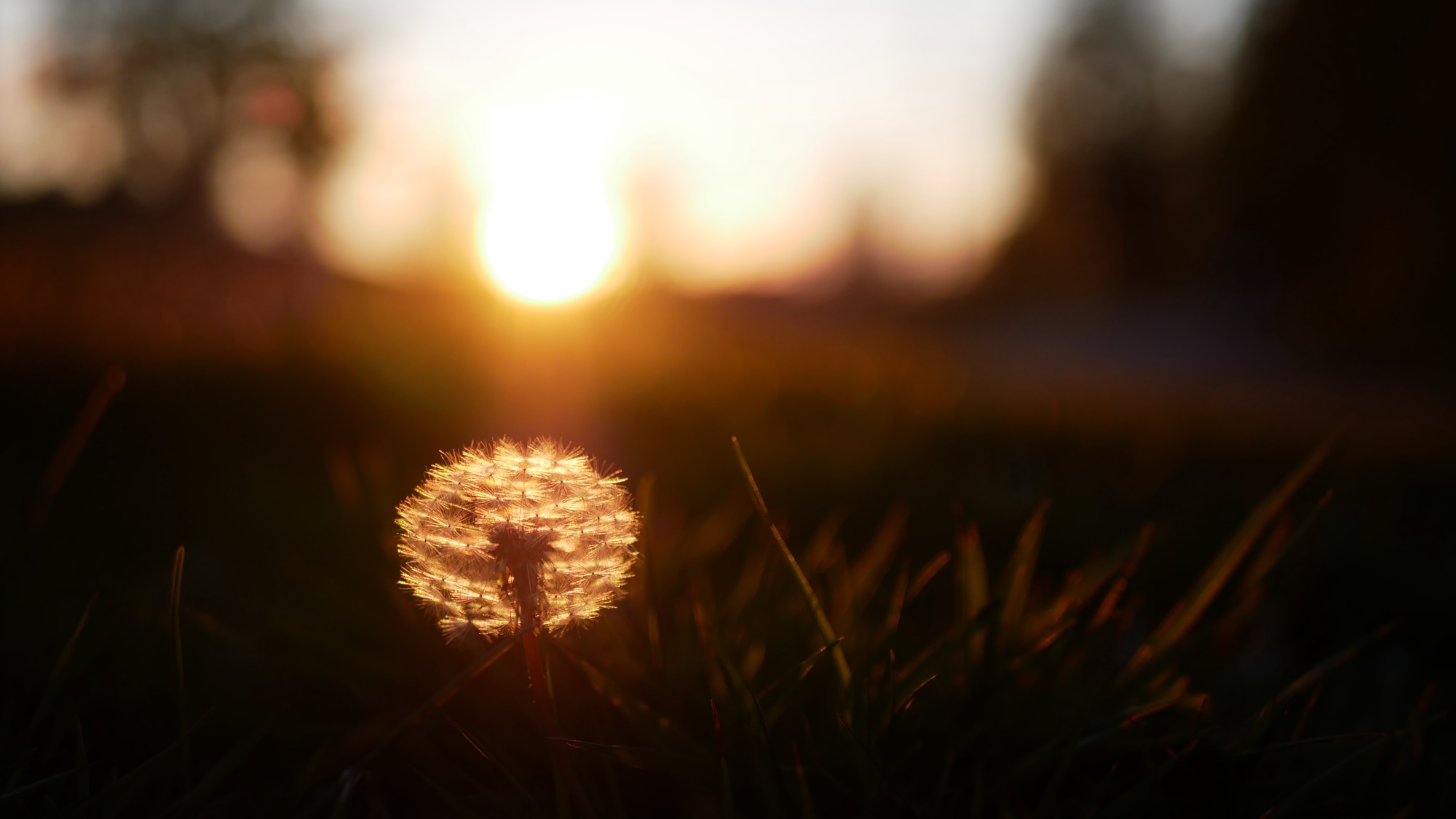 A photo taken in Växjö.