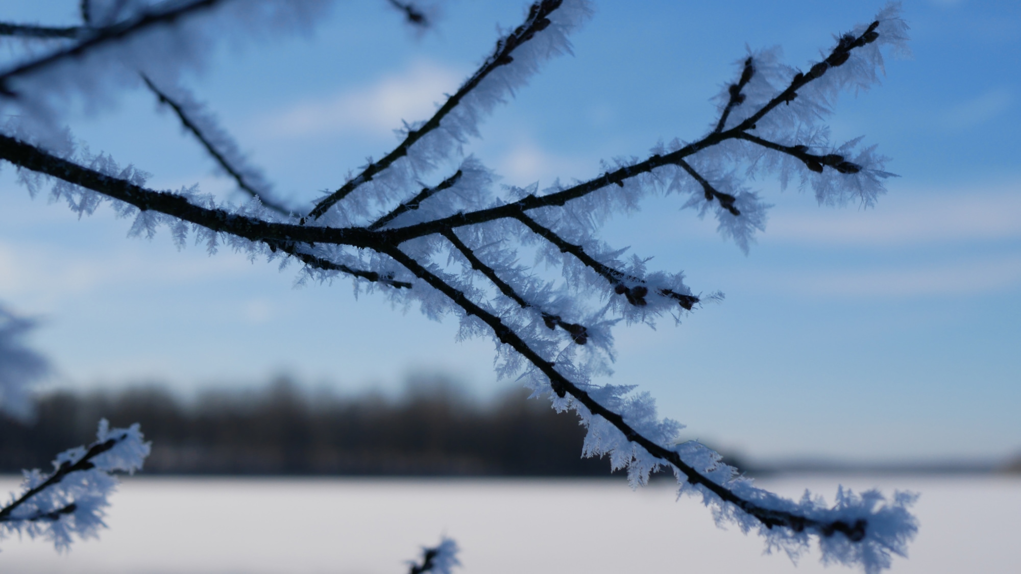 A photo taken at the lake Södra Bergundasjön in Växjö.