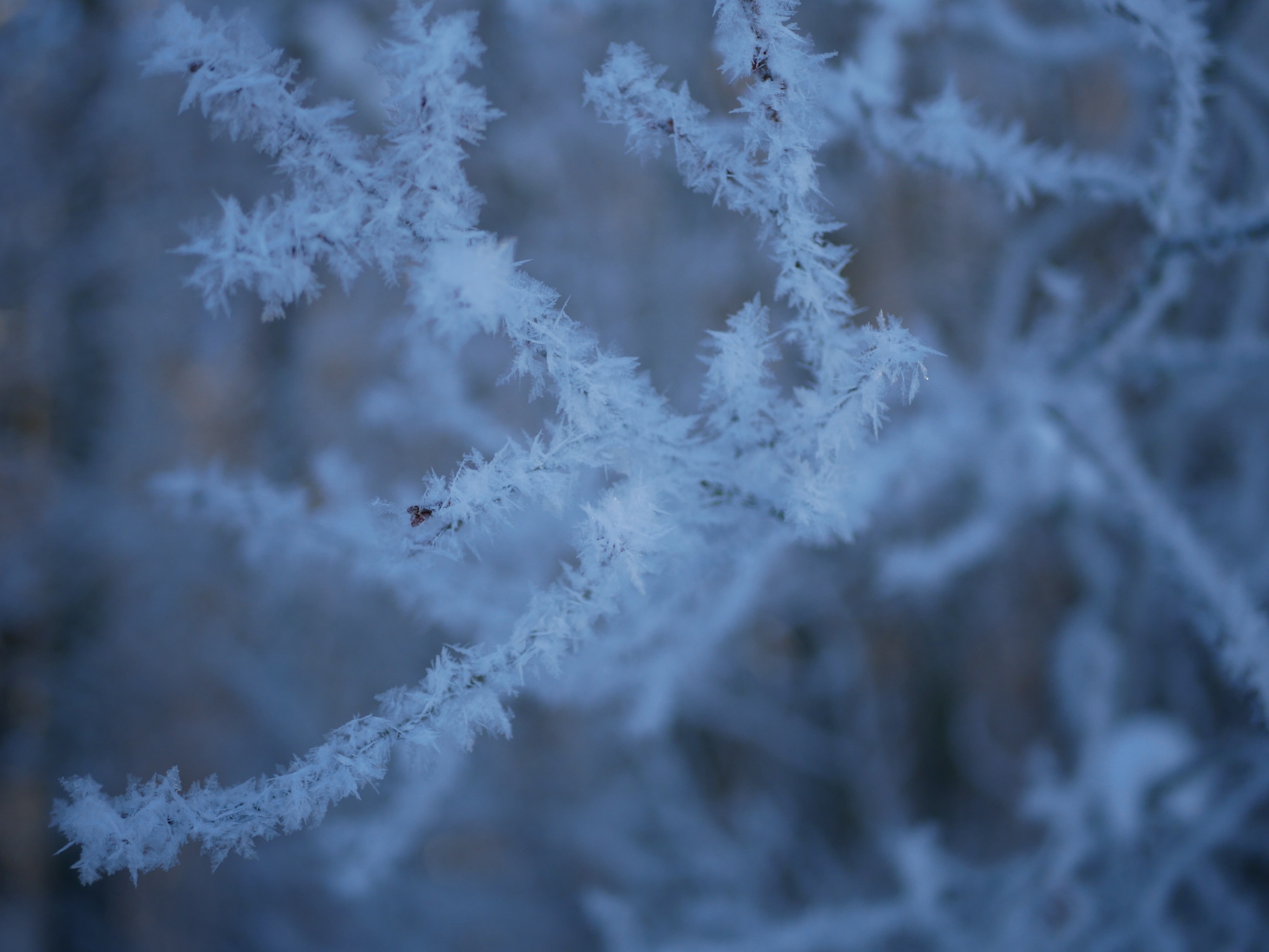 A photo taken at the lake Södra Bergundasjön in Växjö.