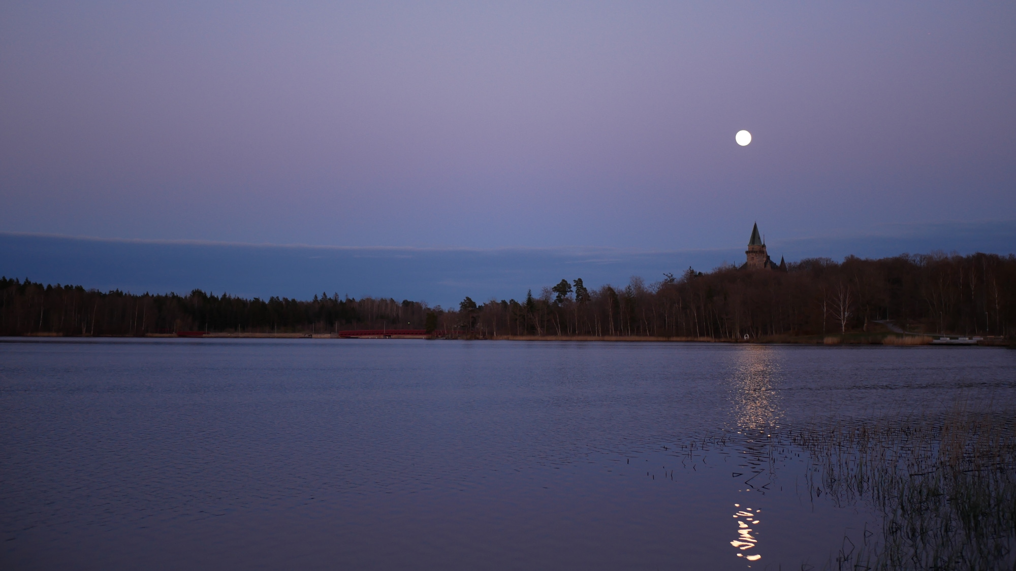 A photo taken at the lake Trummen in Växjö.