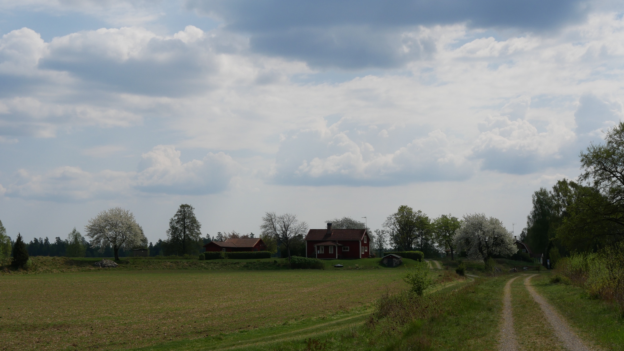 A photo taken at the lake Åsnen in Småland.