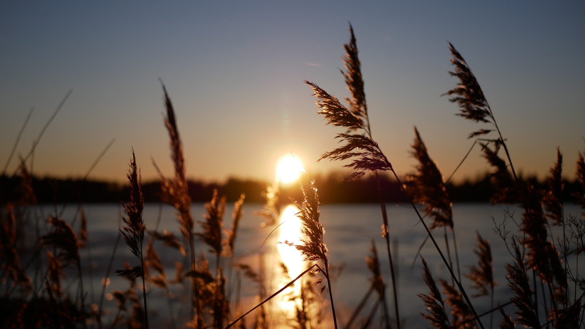 A photo taken at the lake Södra Bergundasjön in Växjö.
