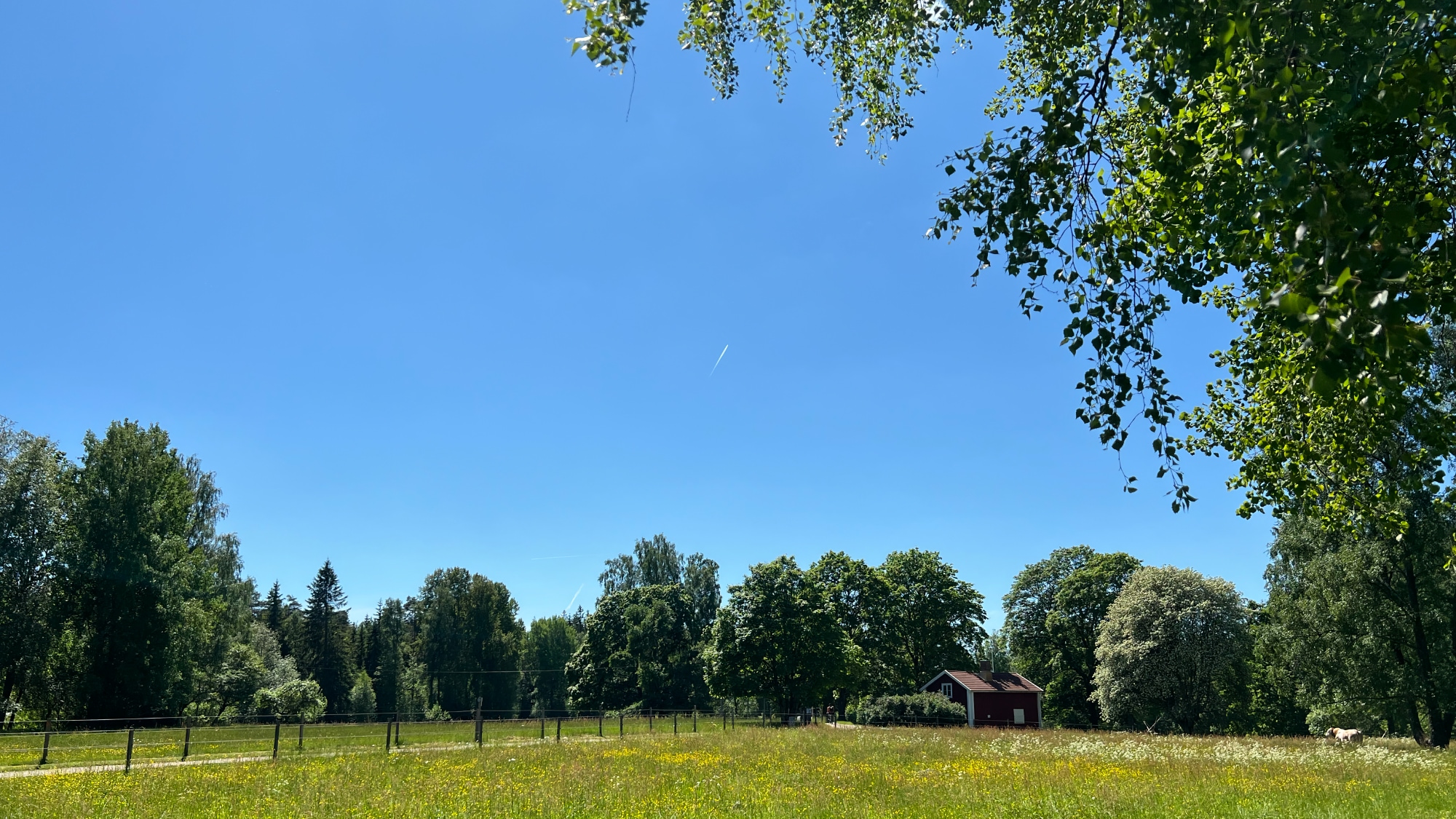 A photo taken in Växjö.