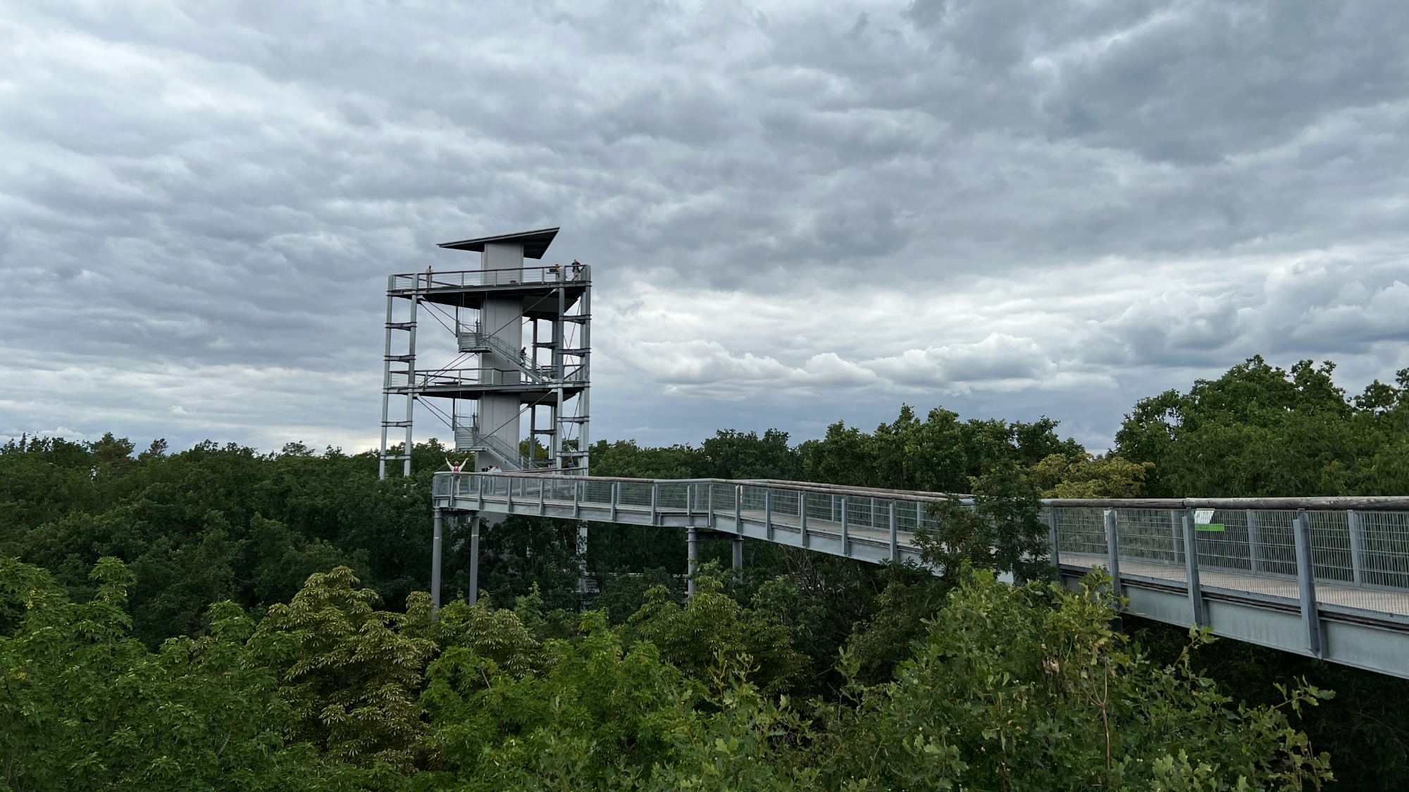 A photo taken at the Baumkronenpfad in Beelitz-Heilstätten outside Berlin.