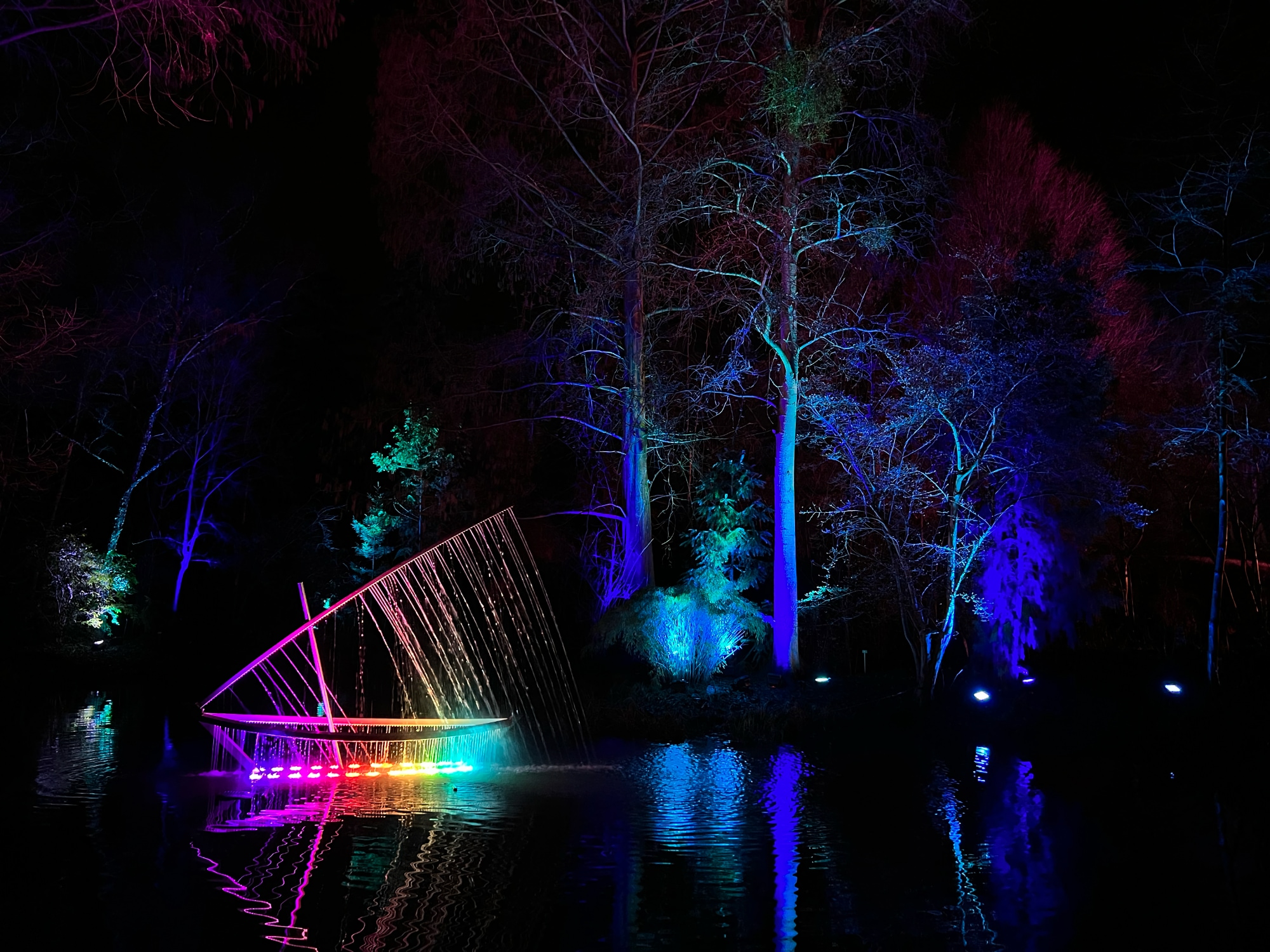 A photo taken of the Christmas Garden at Botanischer Garten in Berlin.