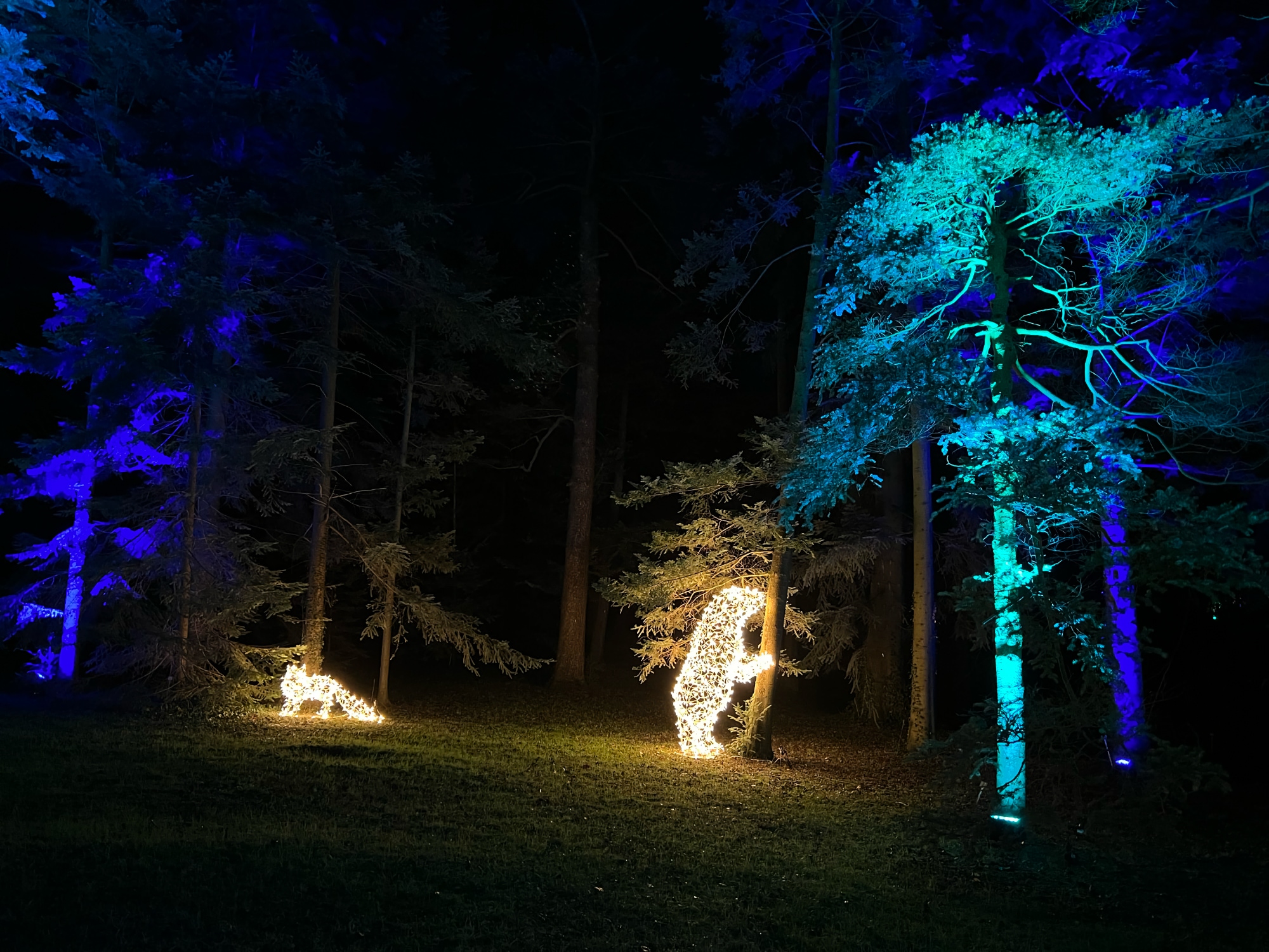 A photo taken of the Christmas Garden at Botanischer Garten in Berlin.