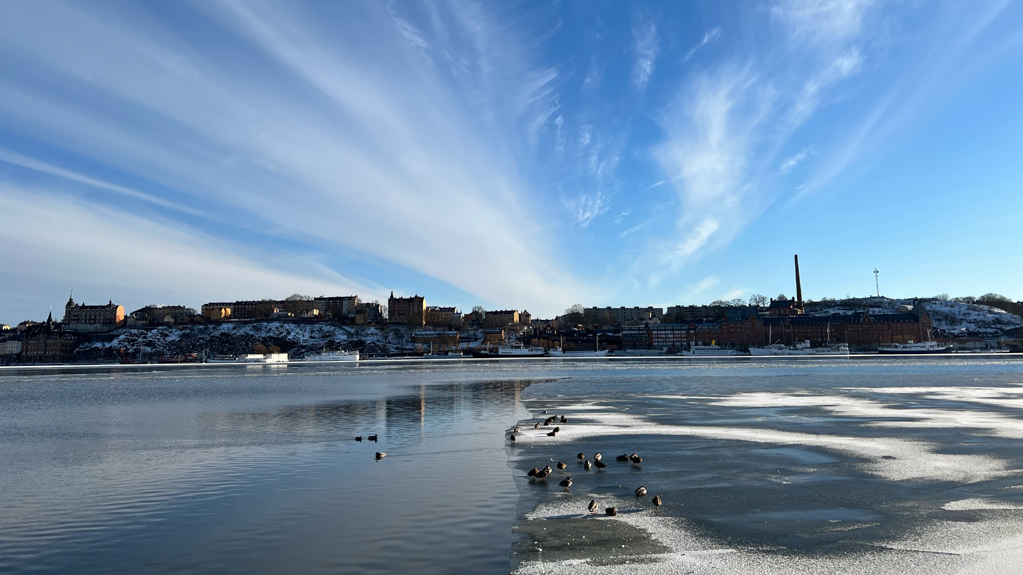 A photo taken at Stadshusparken in Stockholm.