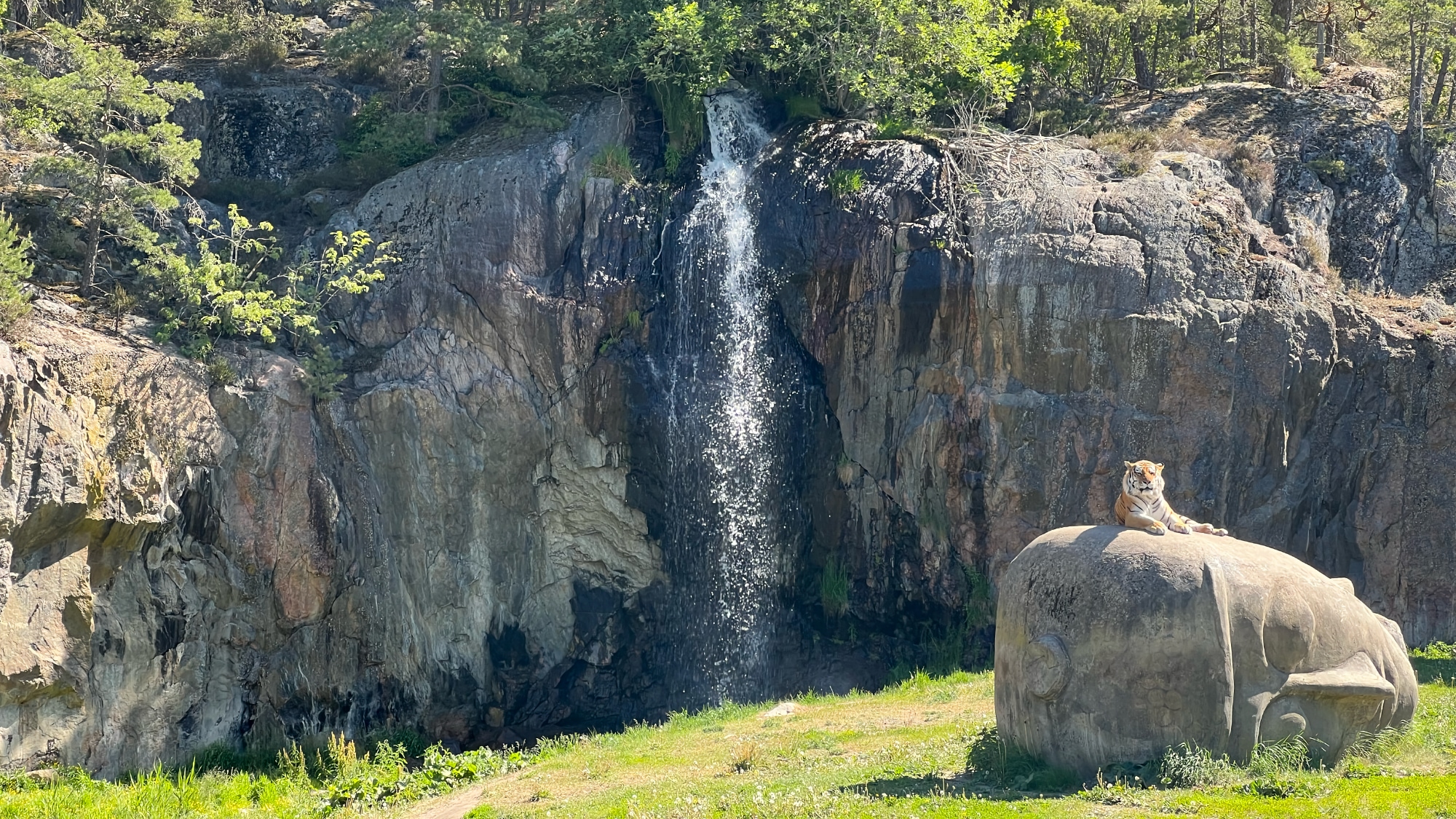 A photo taken in Kolmårdens Djurpark in Kolmården.