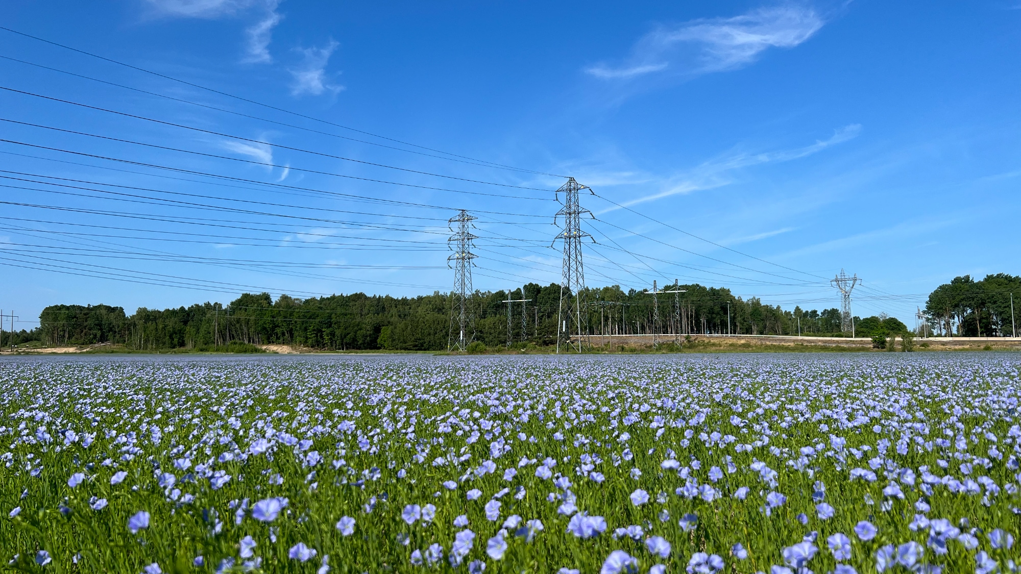 A photo taken in Norrköping.