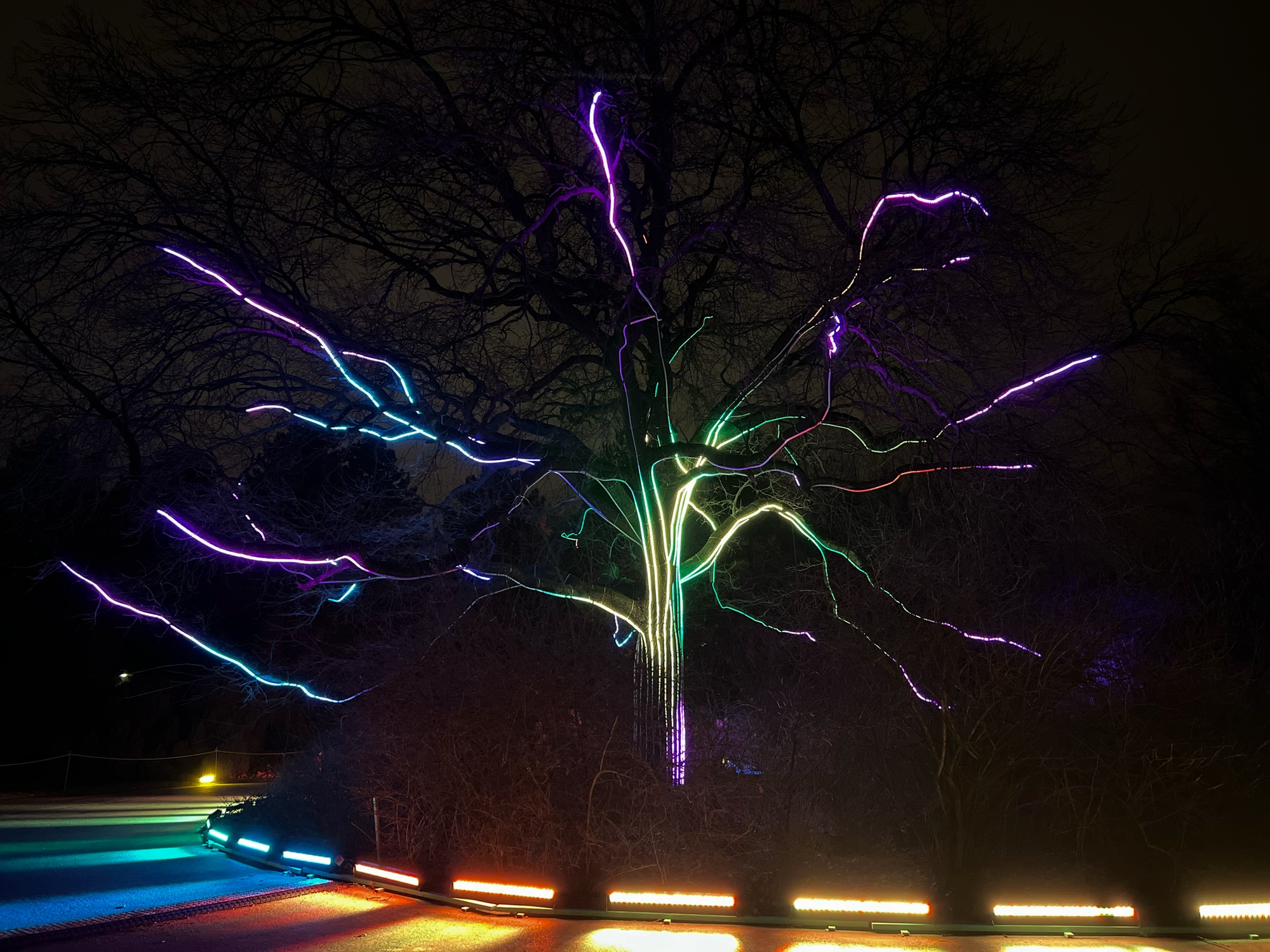 A photo taken of the Christmas Garden at Tierpark in Berlin.