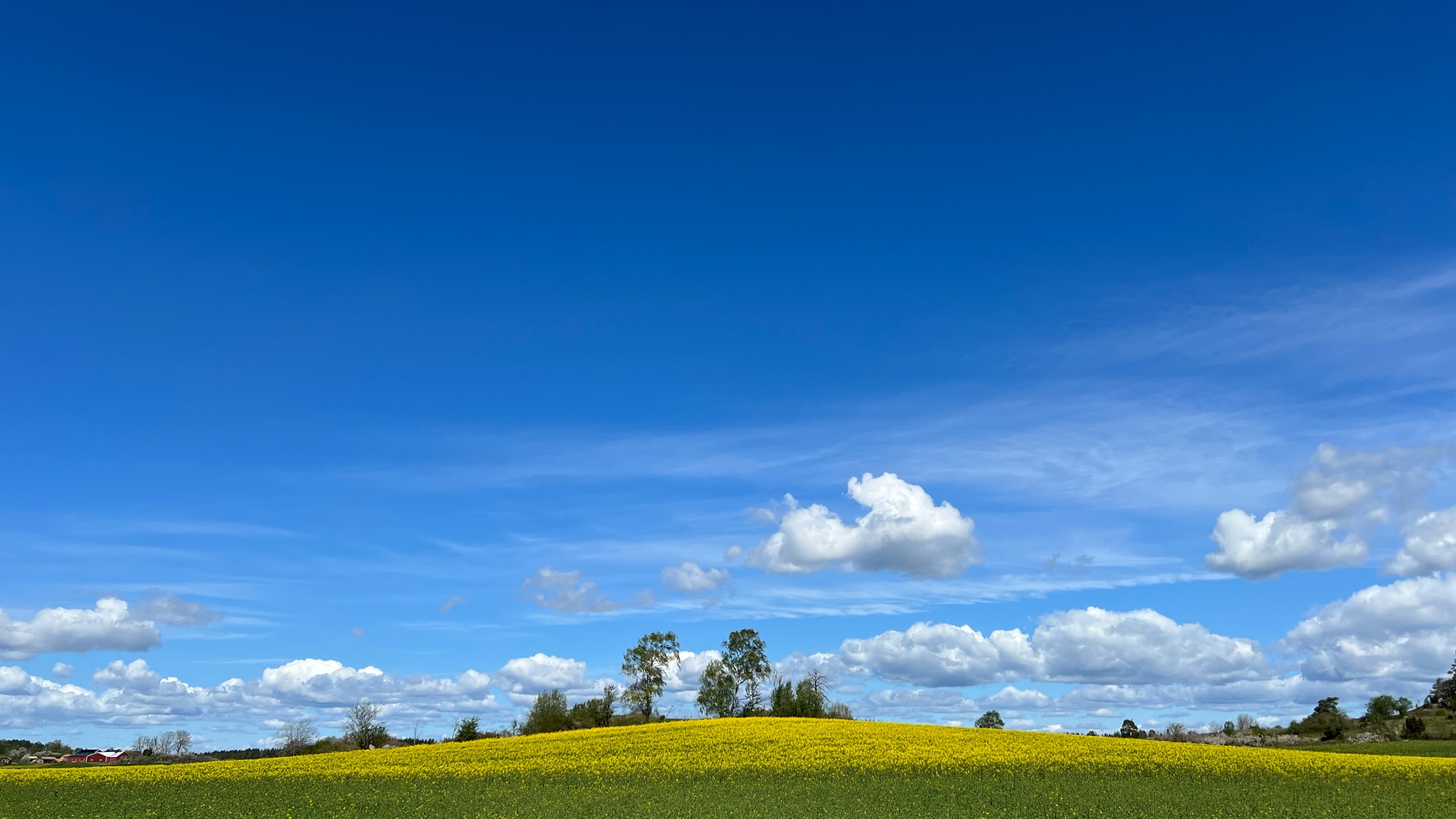 A photo taken in Tingstad in Norrköpings kommun.