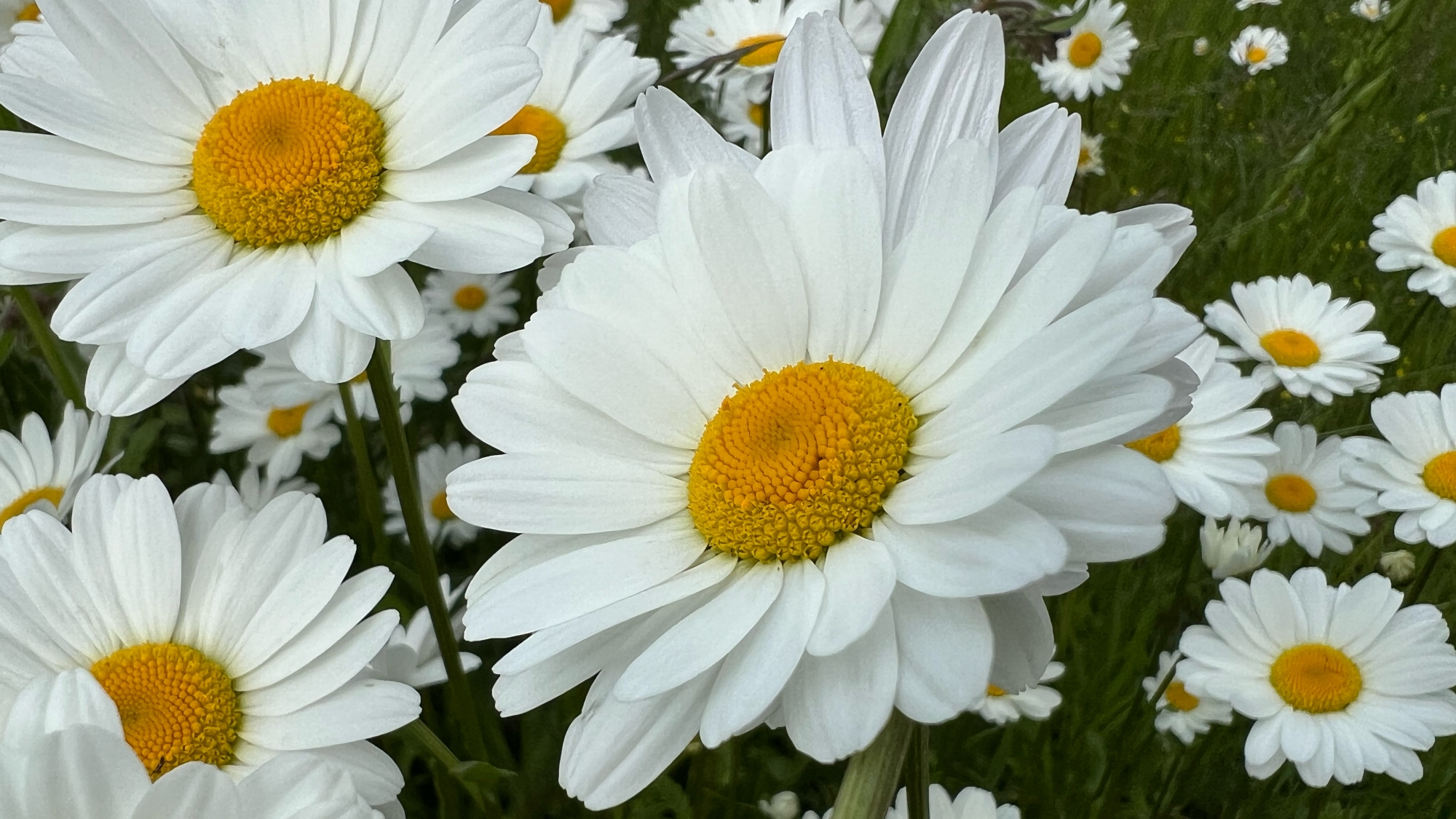 A photo taken at Vreta Kloster in Ljungsbro.