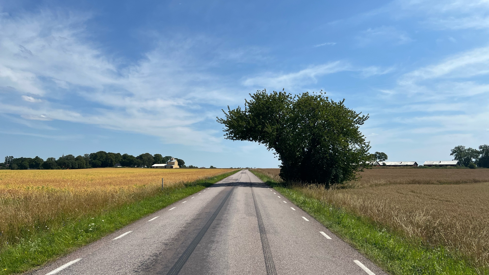 A photo taken near Borghamn along Pilgrimsrundan.