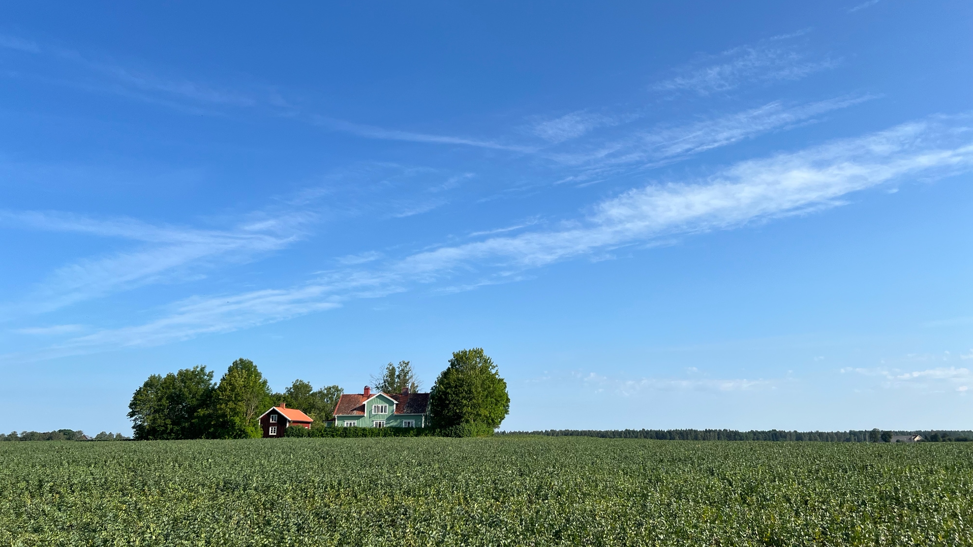 A photo taken near Kumla along Pilgrimsrundan.