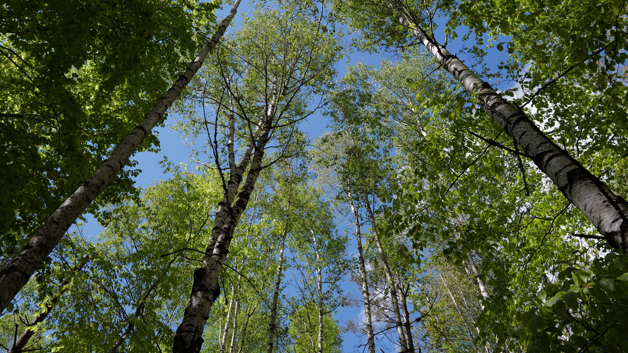 A photo taken at Ågelsjön in Norrköping.